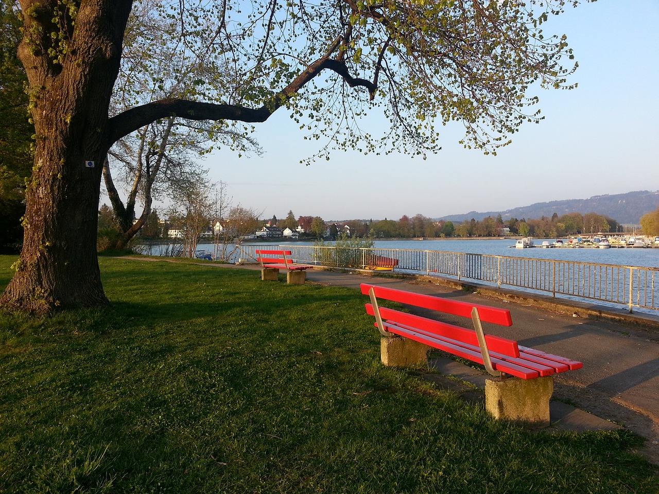 大谷杀手 大谷杀手