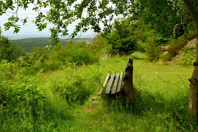 有充分的信 有充分的信